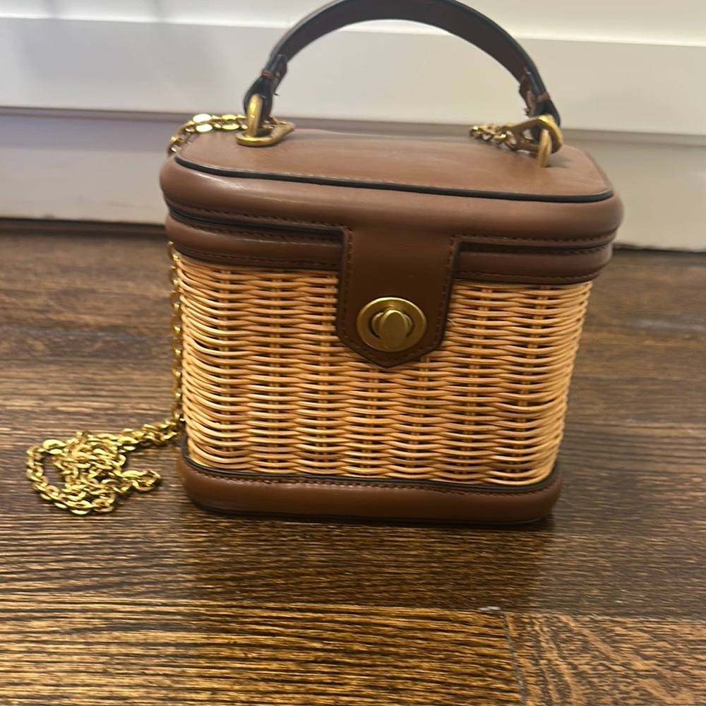Zara Brown and Gold Mini Bag with Vintage Charm